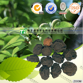 Китайская слива для очищения-1.png